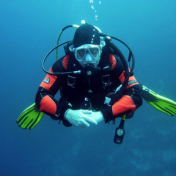 Scuba diver diving
